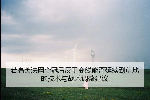 若高芙法网夺冠后反手变线能否延续到草地的技术与战术调整建议